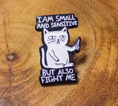 I am small and sensitive but also fight me D & D Pin