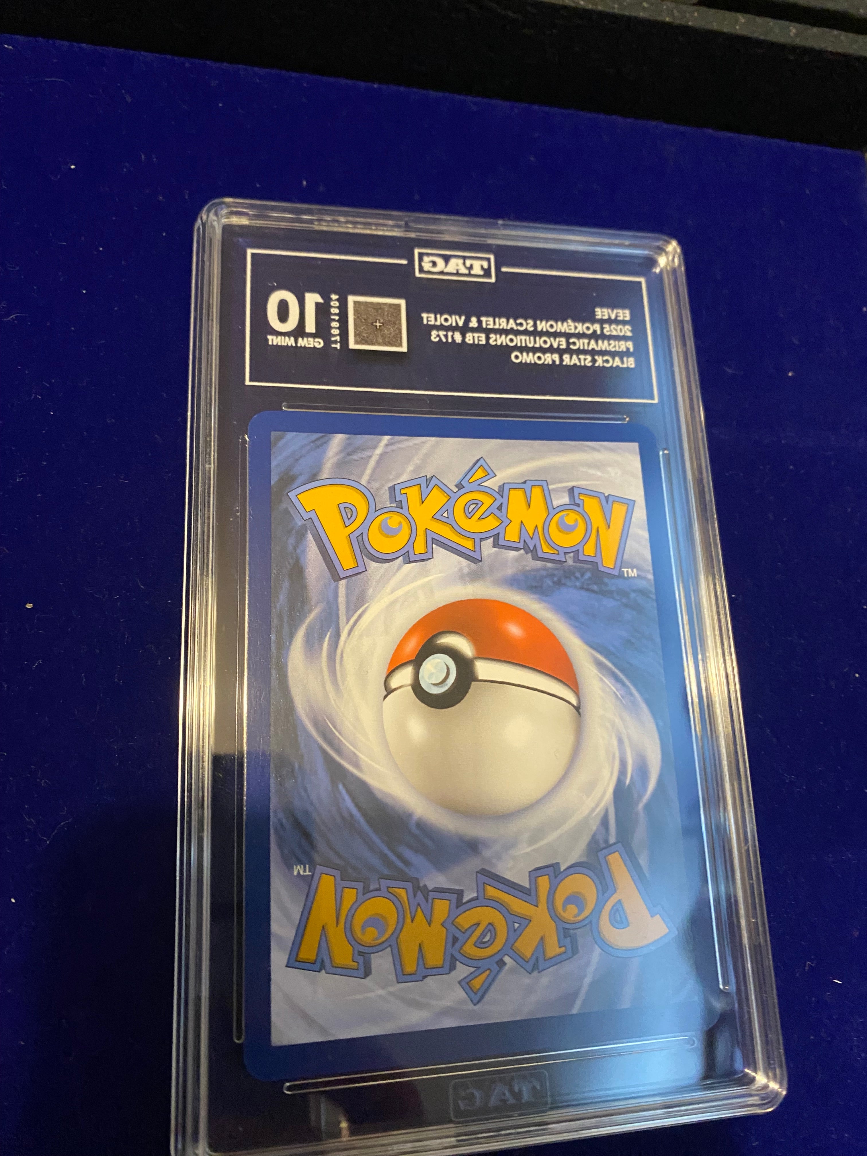 Pokemon Eevee Black Star Promo 173 Graded TAG 10 Gem Mint Prismatic Evolutions