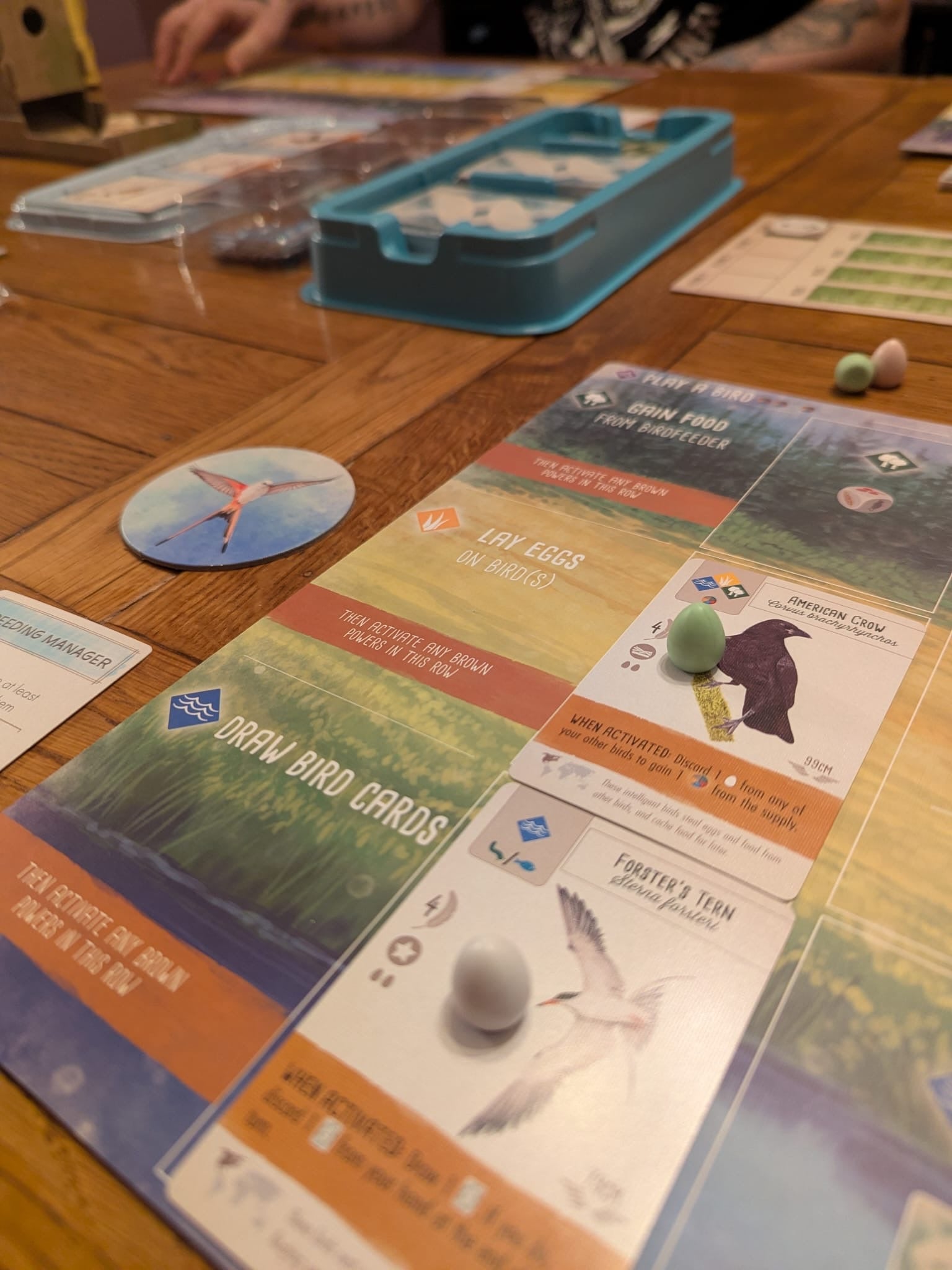 Playing Wingspan