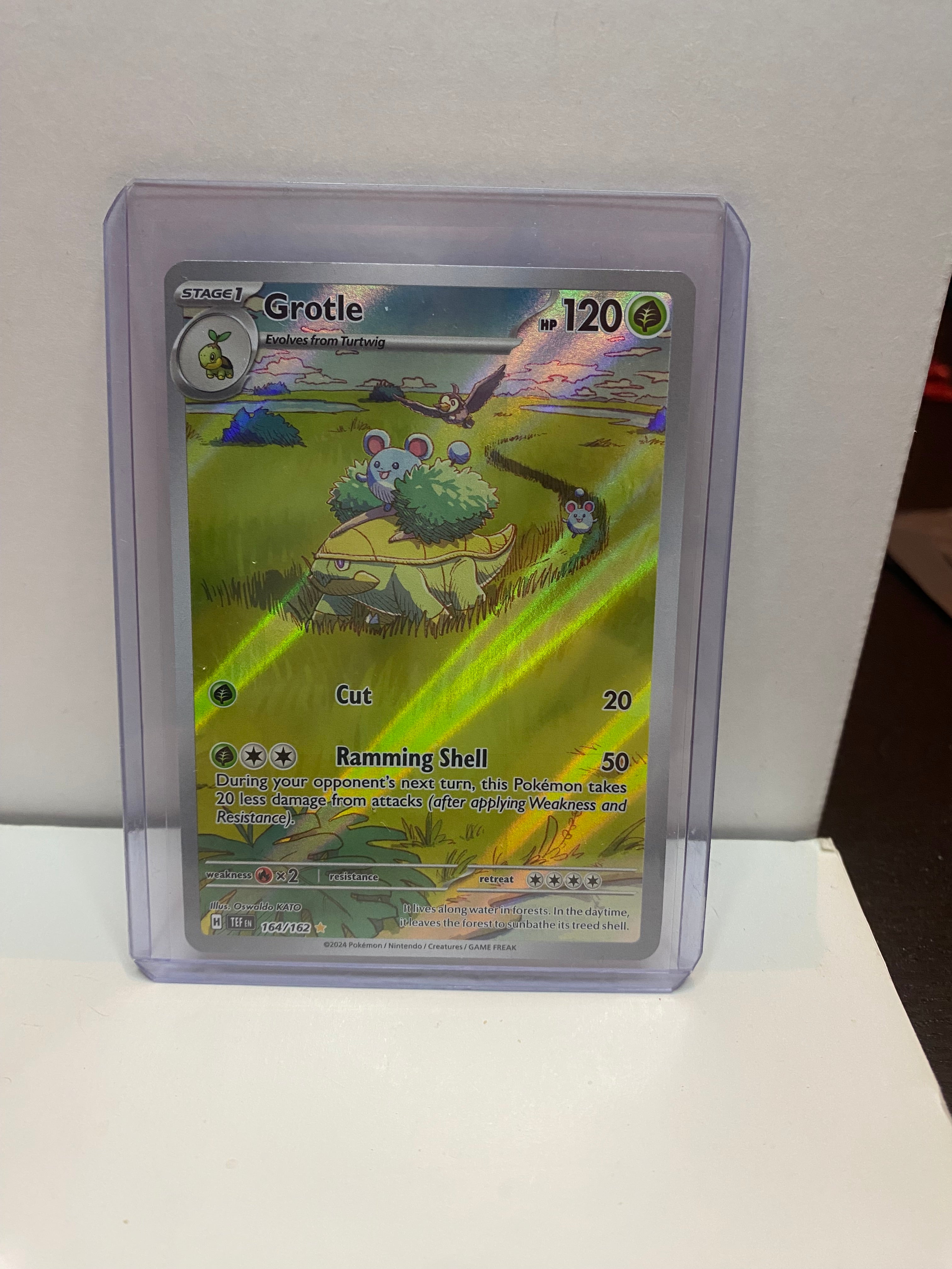 Pokemon Grotle 164/162 Illustration Rare Temporal forces