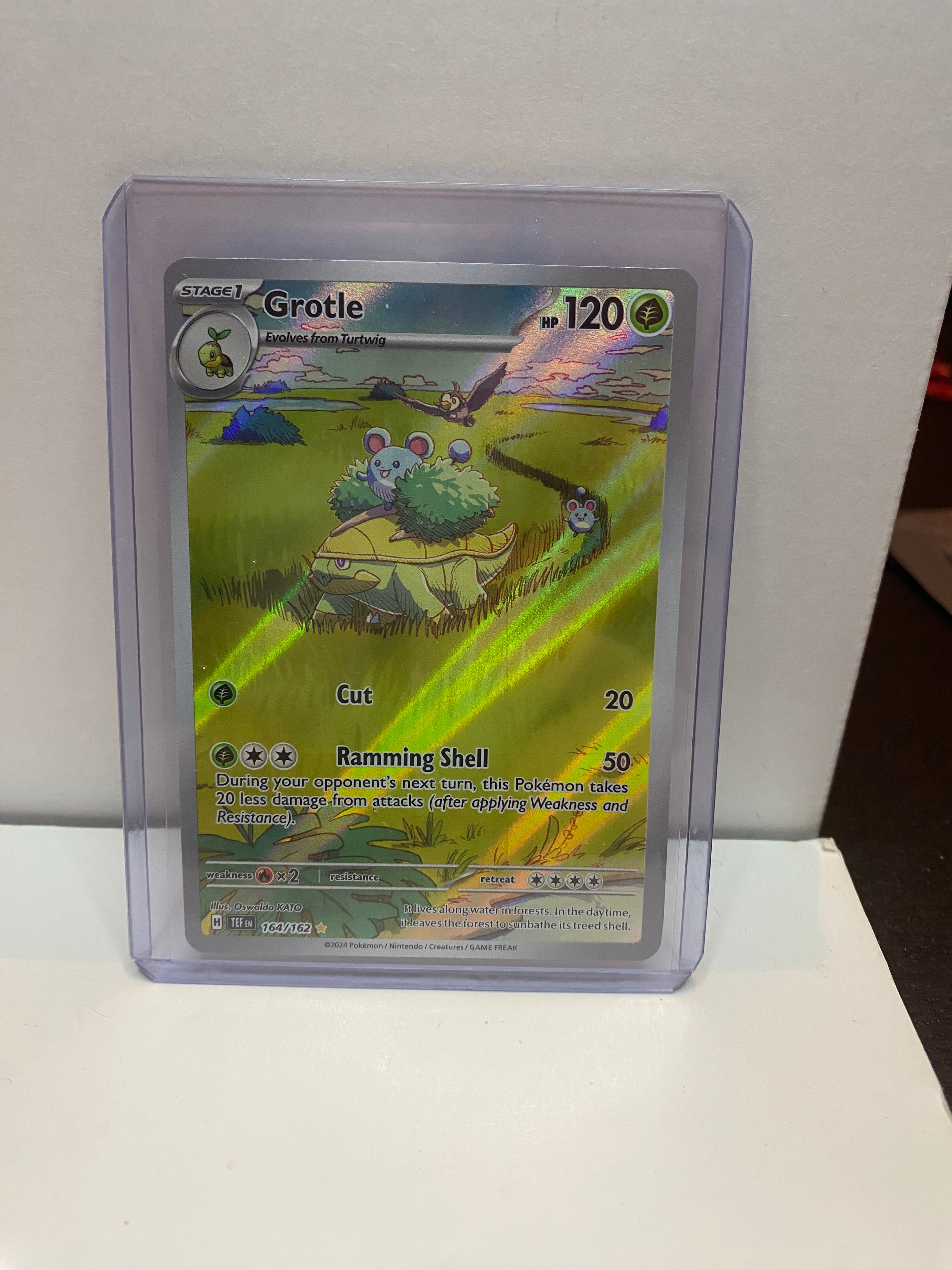 Pokemon Grotle 164/162 Illustration Rare Temporal forces